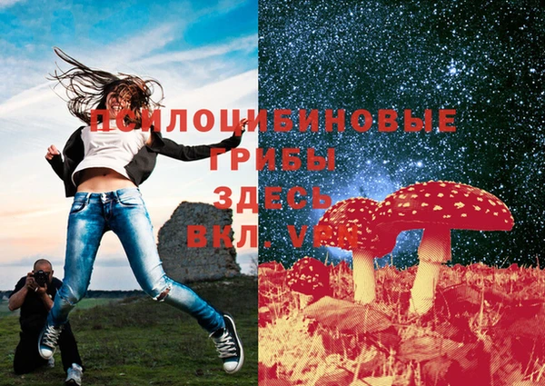 стафф Абаза