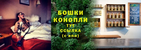 соль ск Пересвет